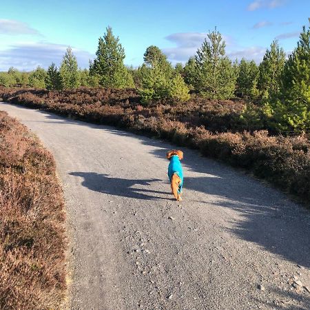 Ventoux Villa Aviemore Eksteriør billede