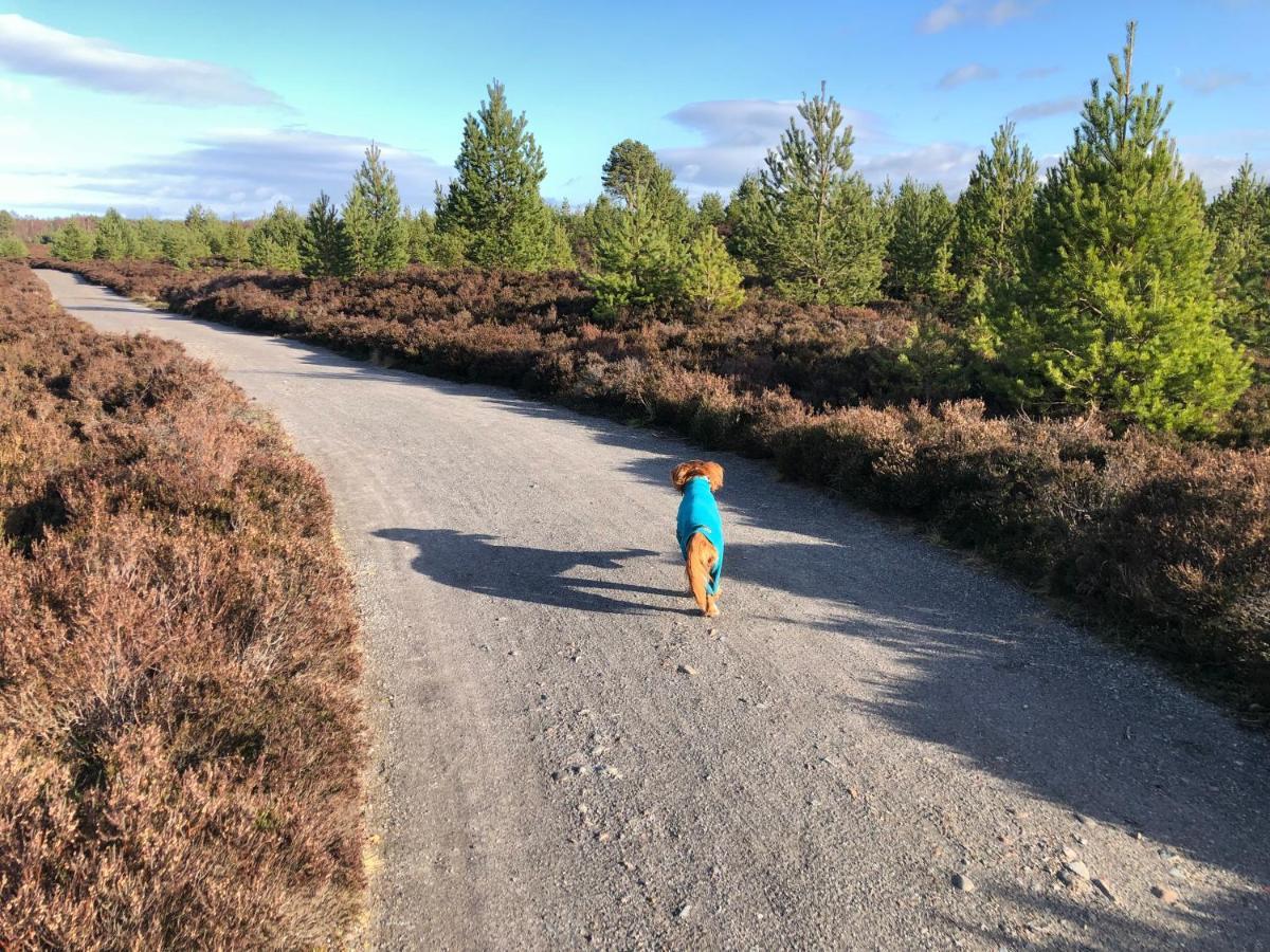 Ventoux Villa Aviemore Eksteriør billede